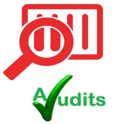 Internal Auditing